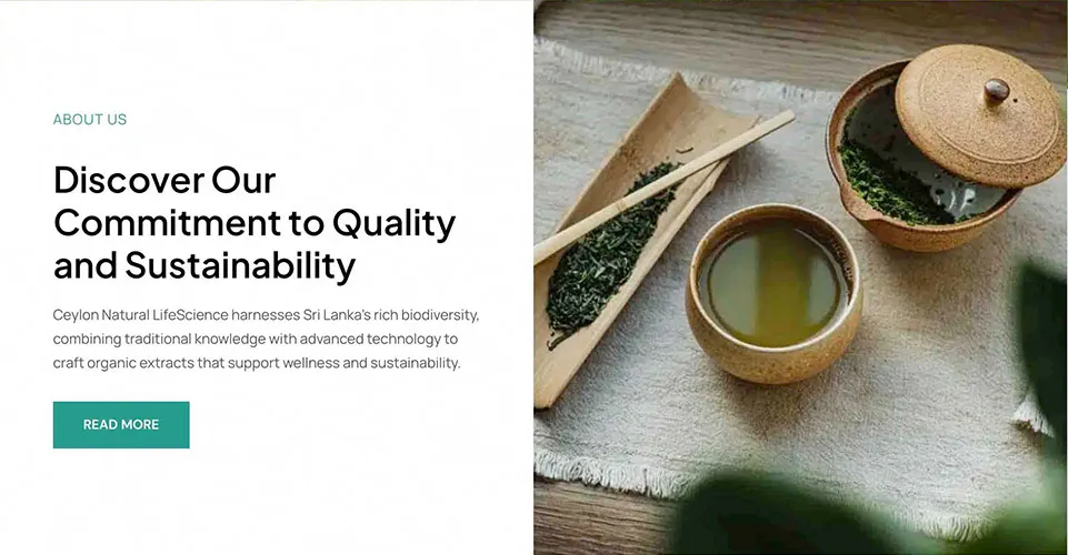 About Us block overlapping the hero, with a tea ceremony photo