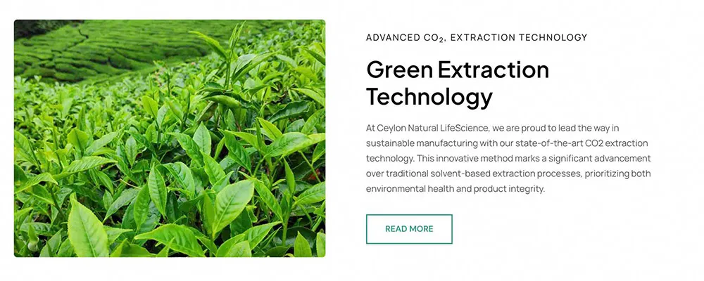 Green Extraction Technology section with a tea field photo