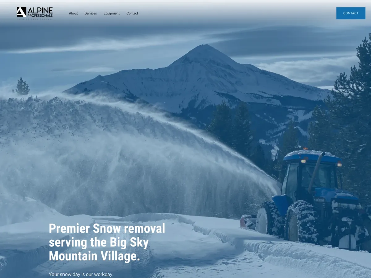 Alpine Professionals logo and website